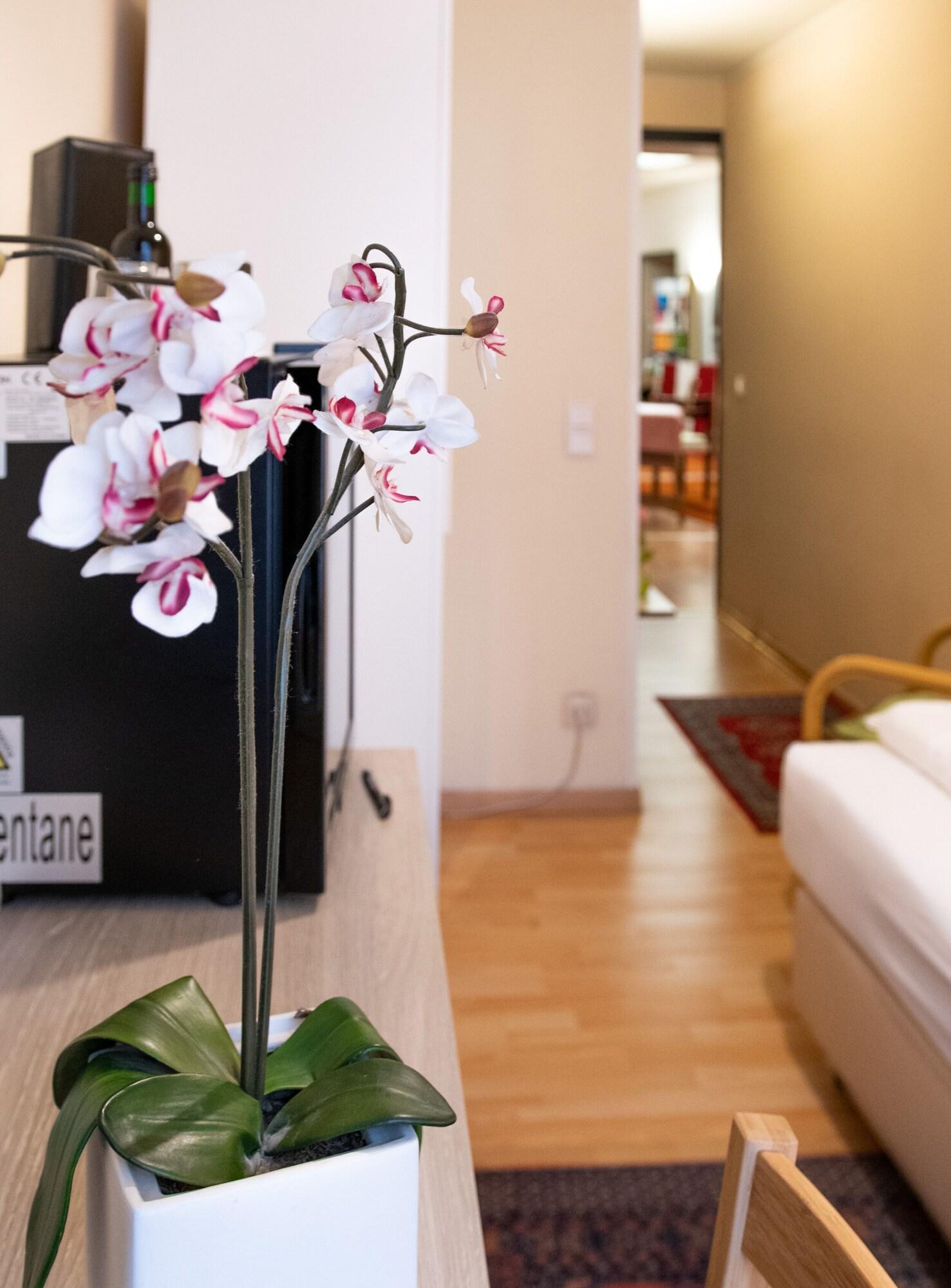 Pension Hotel Mariahilf Vídeň Exteriér fotografie